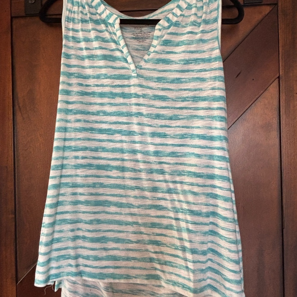 Sonoma Aqua and White Striped Tee